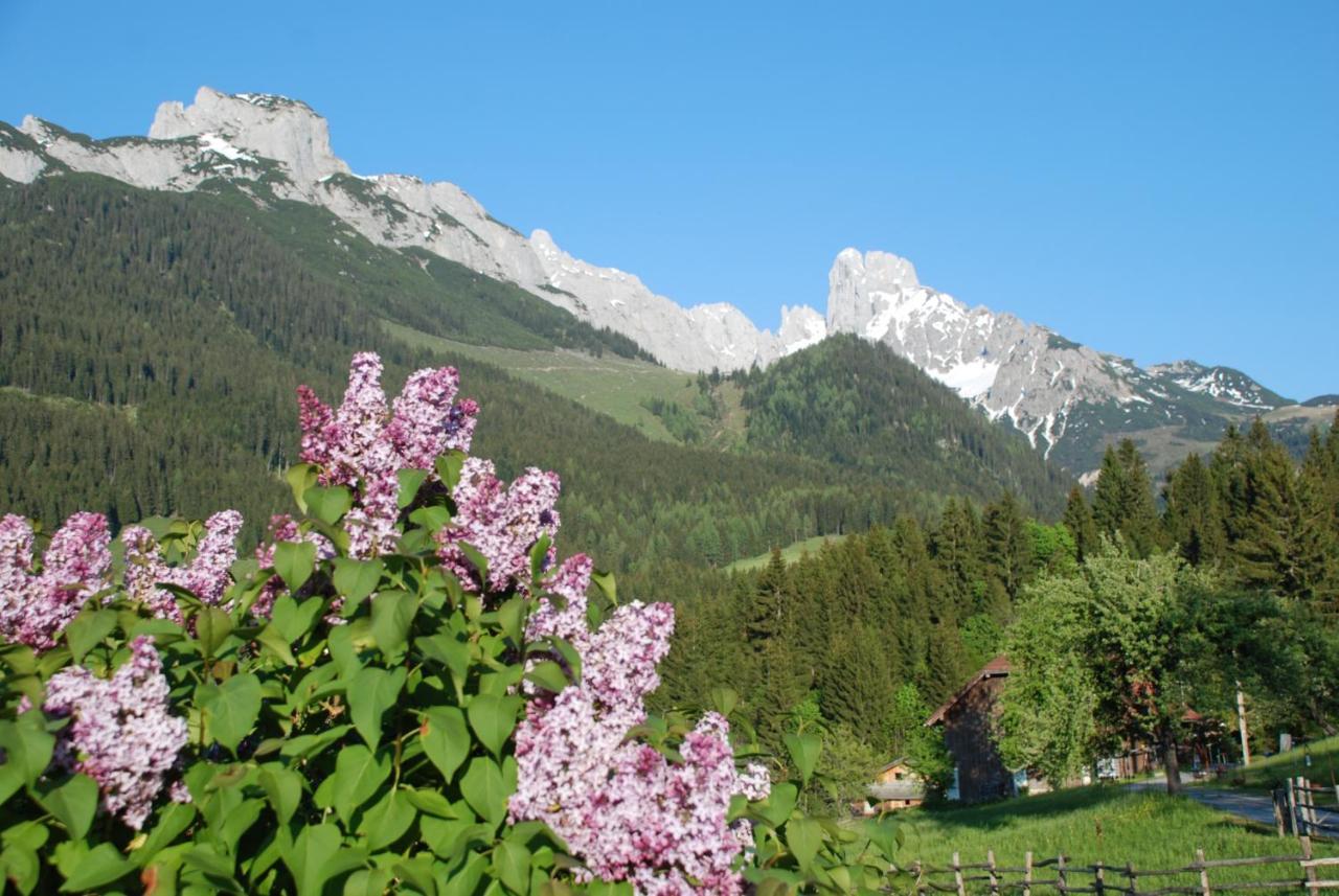 Alpenhaus Donnerkogel Apartman Annaberg im Lammertal Kültér fotó