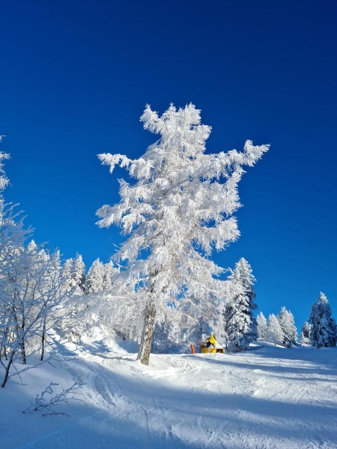 Alpenhaus Donnerkogel Apartman Annaberg im Lammertal Kültér fotó